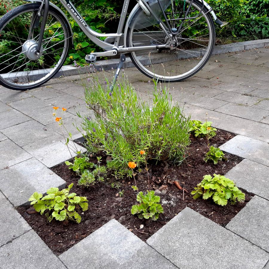 Zdroj: tegelwippen.nl